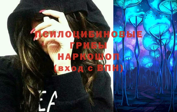 МДПВ Алексин